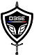 Logo D3SE.png